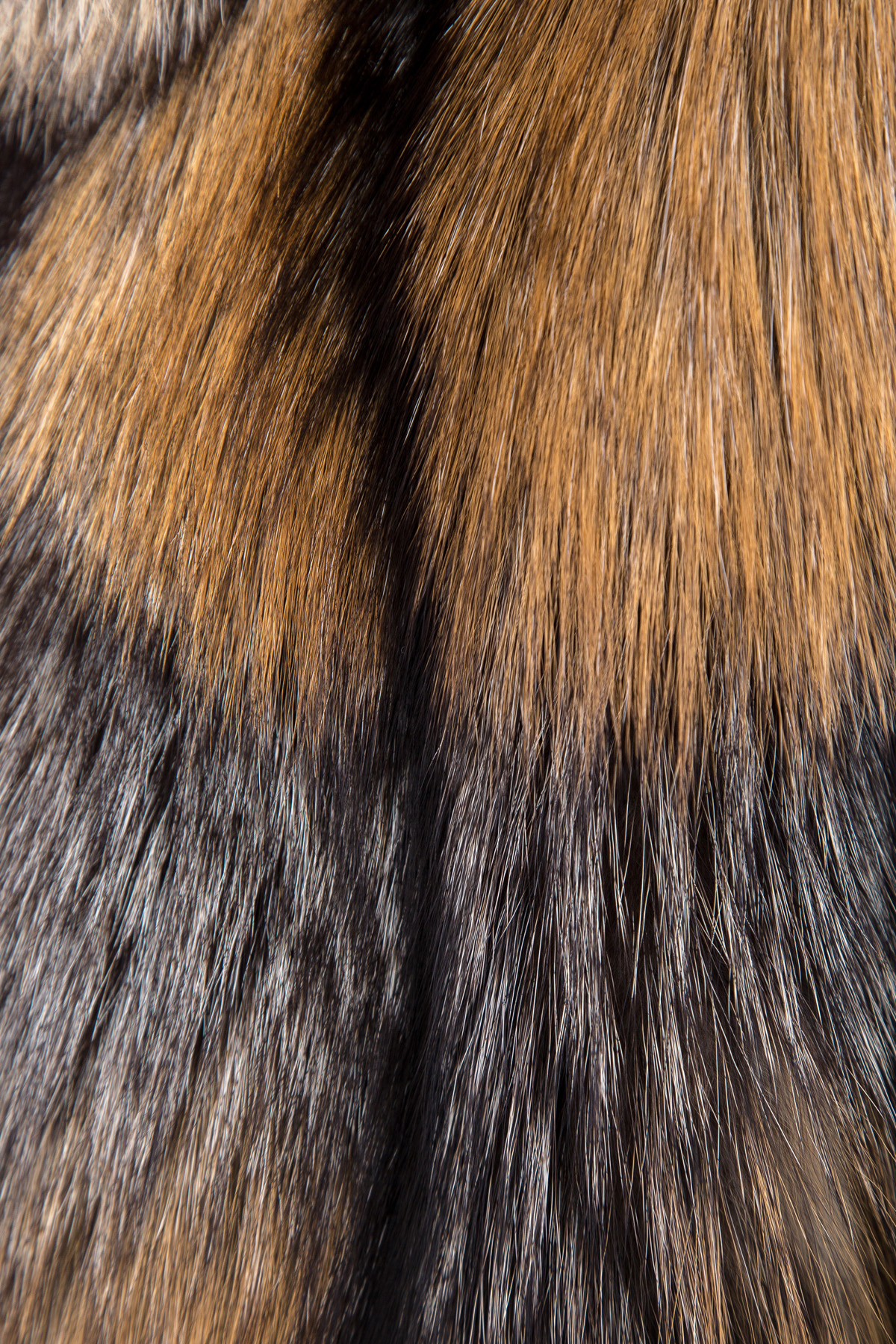 меховой жилет YVES SALOMON, цвет коричневый, размер 38 - фото 5