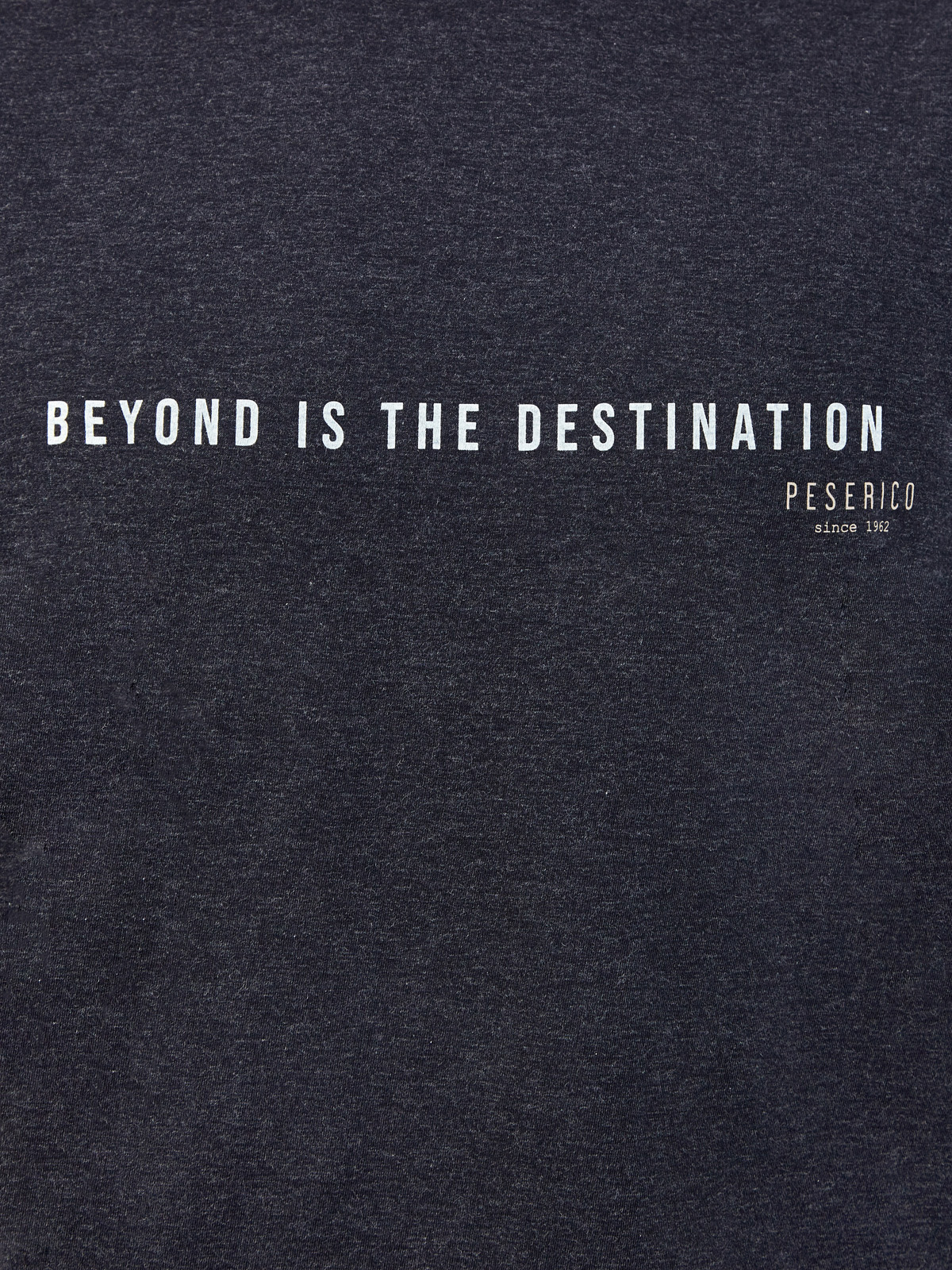 Футболка с принтом Beyond Is The Destination и контрастным кантом PESERICO, цвет серый, размер 46;52;54;56;50 - фото 5