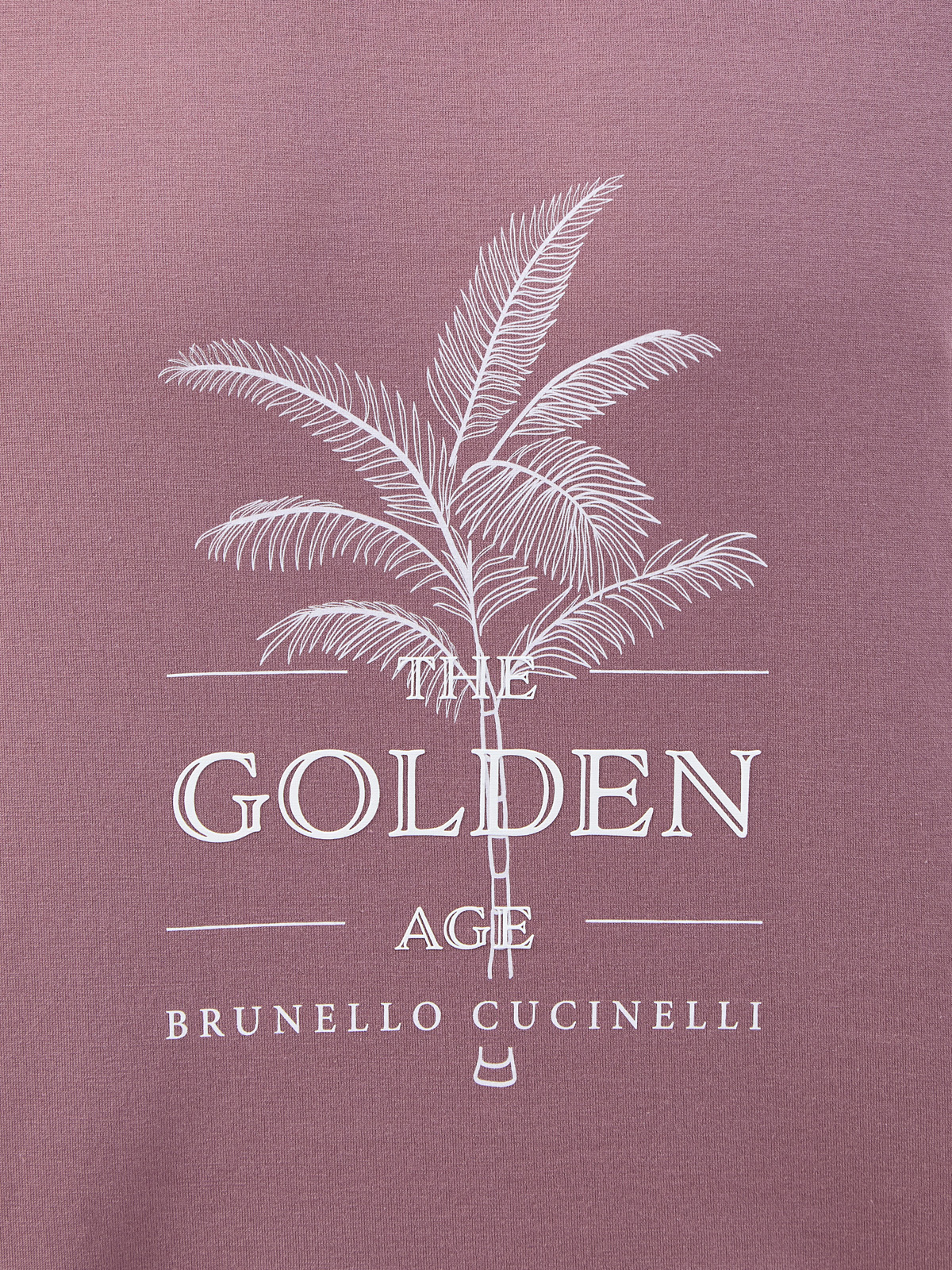 Футболка из джерси с сезонным принтом The Golden Age BRUNELLO CUCINELLI, цвет бордовый, размер 52;56;50 - фото 5