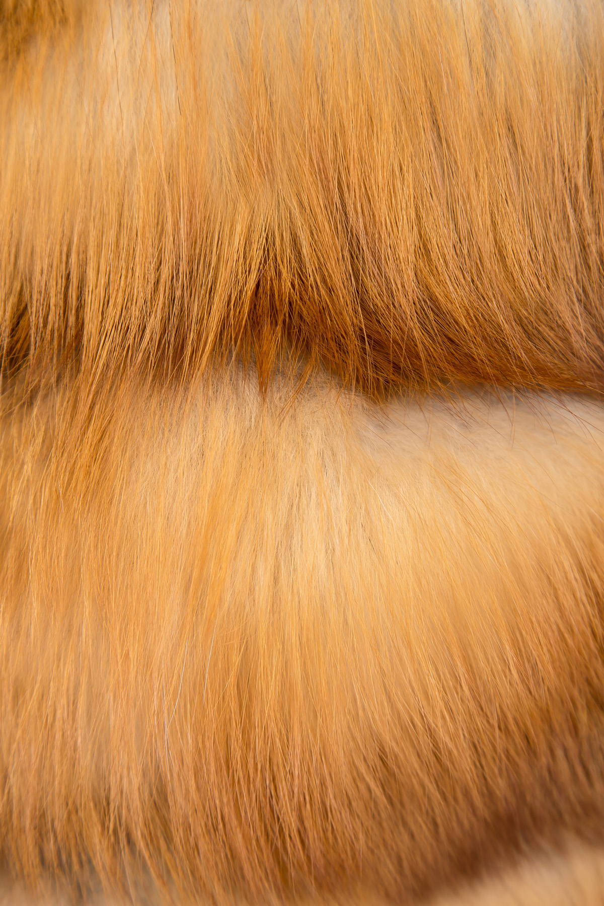 Шуба с капюшоном и укороченными рукавами из меха рыжей лисы MARCO VANOLI, цвет оранжевый, размер 40 - фото 5