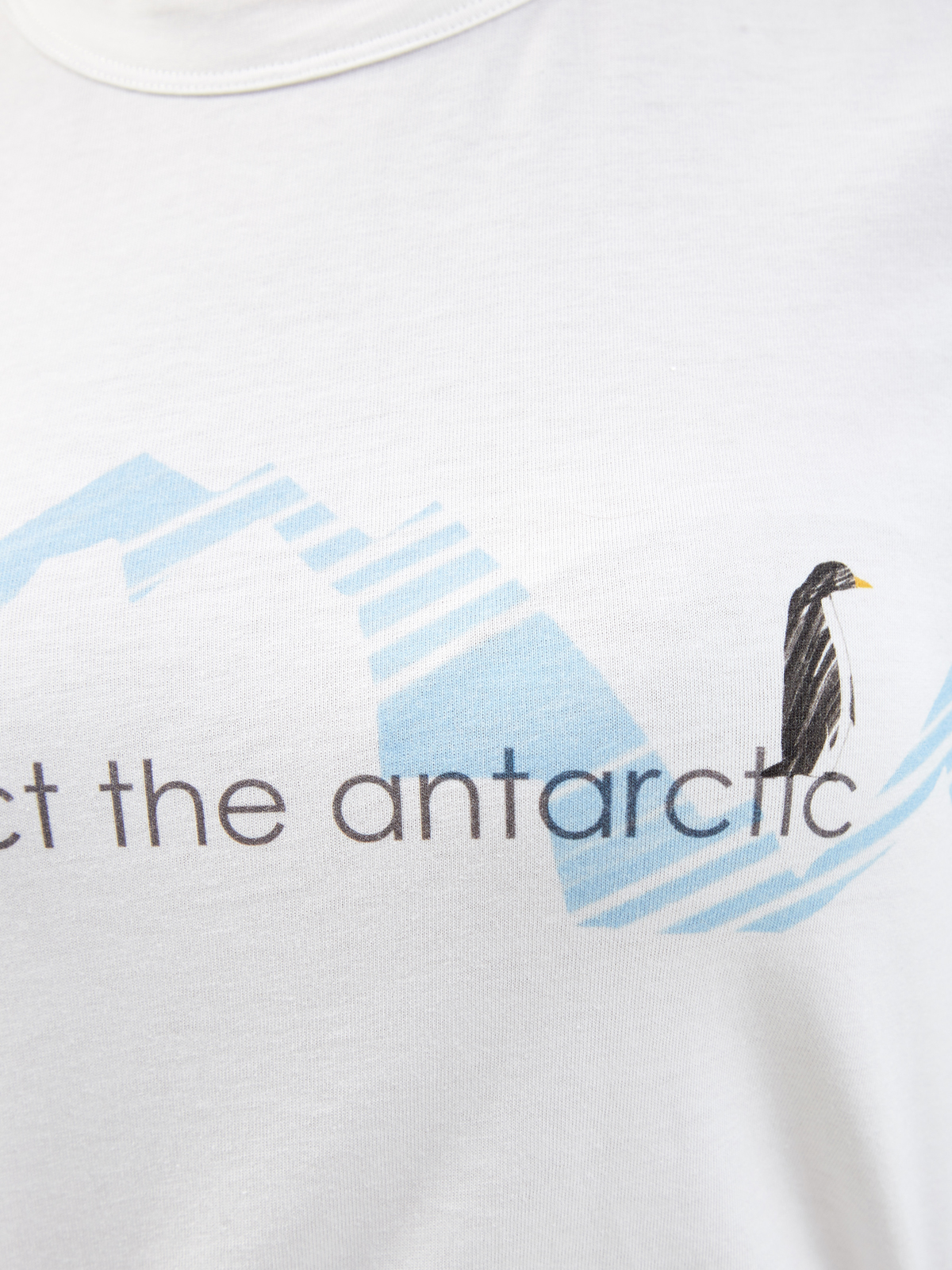 Футболка из органического хлопка с принтом Protect the Antarctic Белый, фото 5