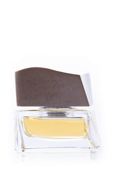 Цветочно-фужерный парфюм Brioni Eau de Toilette 