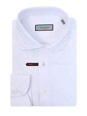 CANALI